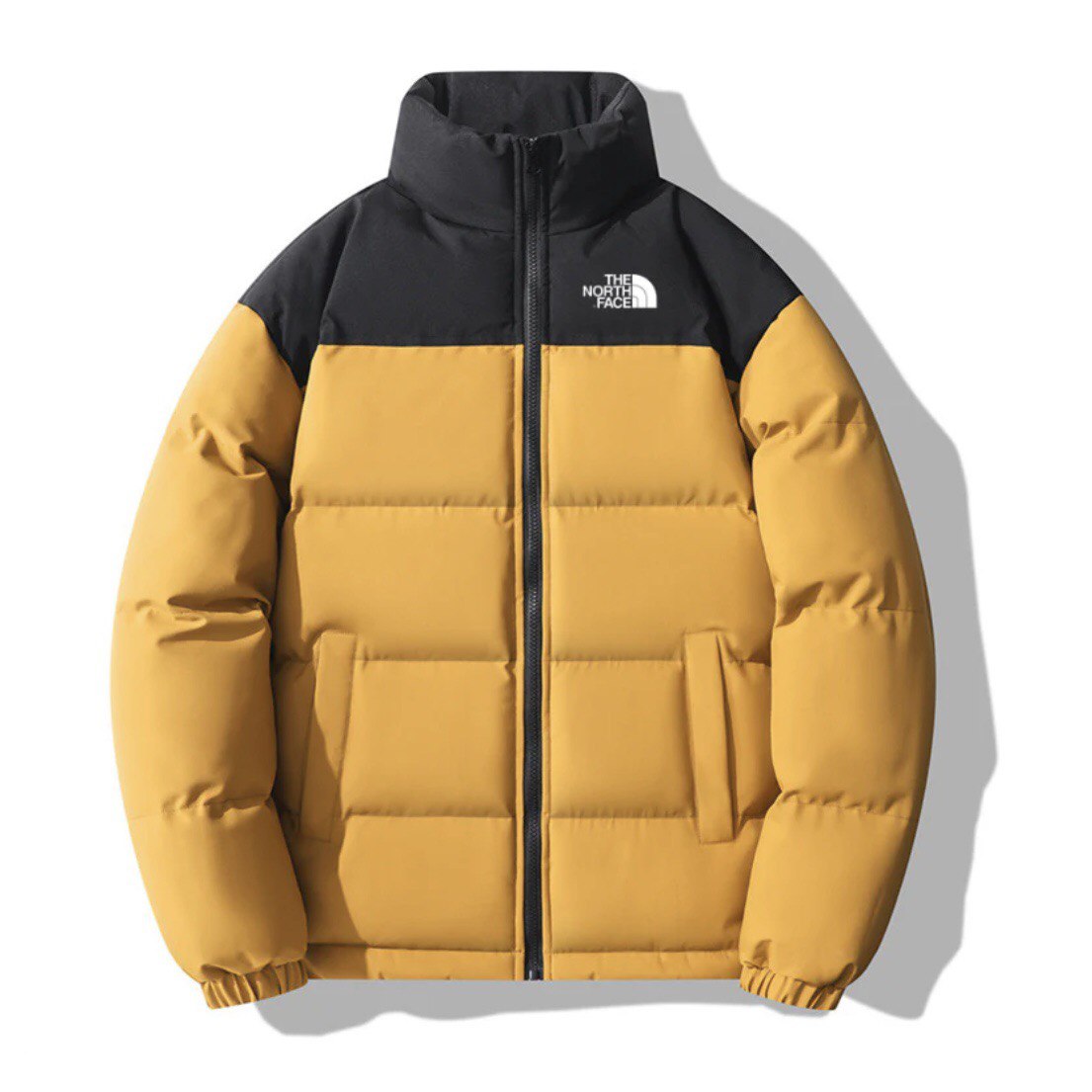 THE NORTH FACE - Blouson 2024